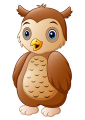 Cute owl cartoon