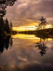 Forest lake reflection, Norway