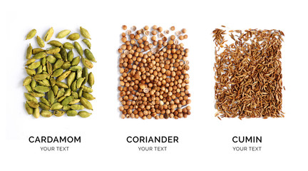 Creative layout made of cardamon, coriander and cumin. Flat lay. Food concept. Cardamon, coriander and cumin on the white background.