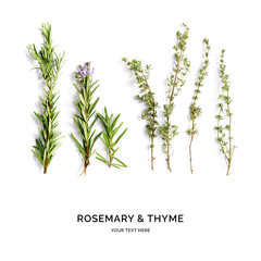Creative layout made of thyme and rosemary . Flat lay. Food concept. Rosemary and thyme on the white background. - obrazy, fototapety, plakaty