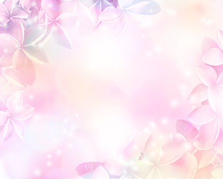 Fototapeta Floral abstract pastel background with copy space.