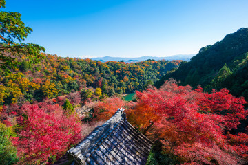 京都　大悲閣千光寺の紅葉