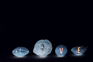 Wild seeds on black background with 