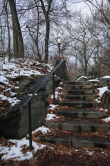 cetral park steps