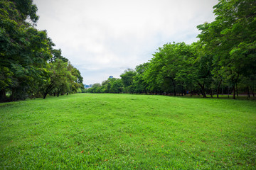 Green grass field in park at city center with business buildings in Bangkok, Thailand.