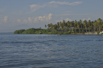 on the trip to paradise