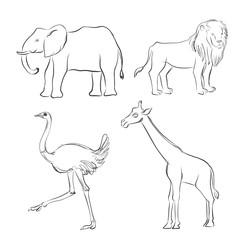 vector cartoon sketch of animals