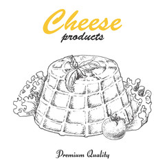 Vector background with cheese