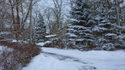 snowy corner