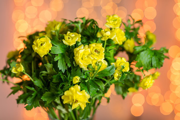 Pink persian buttercup flowers. Curly peony ranunculus in Metallic gray vintage can. Vase with beautiful bouquet on table. Copy space. lights on the background