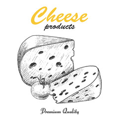 Vector background with cheese