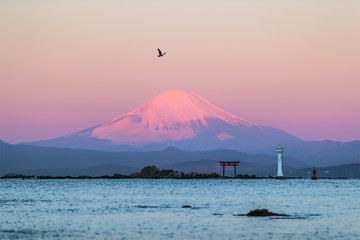 Fototapeta na wymiar Seascape of Mountain Fuji in morning winter season at Sagami bay , Yokosuka city , Kanagawa prefecture , Japan