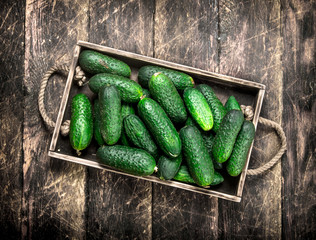 fresh cucumber on an old tray.
