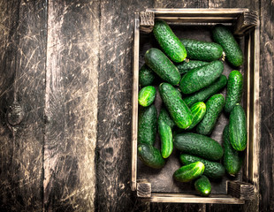 Fresh cucumbers in an old box.