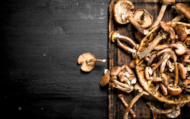 Fresh mushrooms honey agarics in basket.