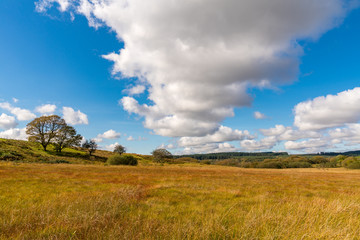 Obraz premium Clouds over a field near Ystradfellte in Powys, Wales, UK