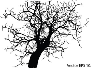 Dead Tree without Leaves Vector Illustration Sketched, EPS 10.