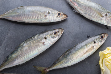 Fresh mackerel fish on rock plate