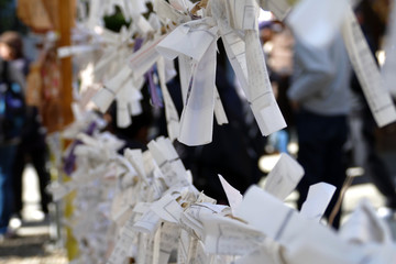 結び付けられたおみくじ