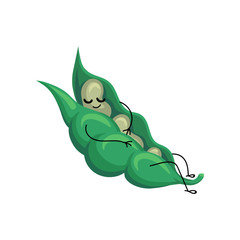Funny sleeping bean pod cartoon character vector Illustration