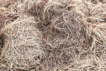 hay and straw