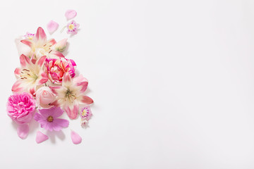 summer flowers on white background