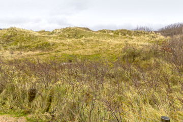 coastal dune scenery