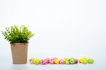 Pot with flower and colorful easter eggs over white background
