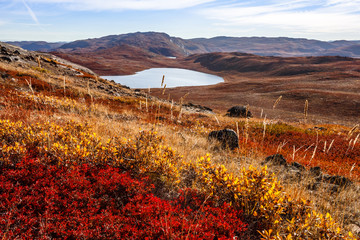 Autumn greenlandic orange tundra landscape with lakes and mountains in the background, Kangerlussuaq, Greenland © vadim.nefedov