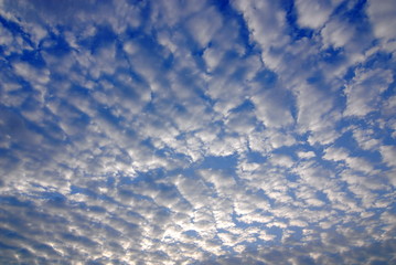 Strange cloud like scale very beautiful