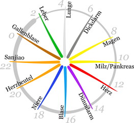 Organrad, Organuhr mit der nach der traditionellen chinesischen Medizin zugeordneten Organe