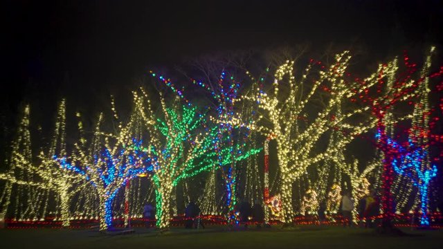 Colorful lights on the trees, beautiful alley, Seattle, Washington. Motion video. 4K, 3840*2160, high bit rate, UHD