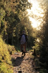 sentier ligure, Cinque Terre, Italie