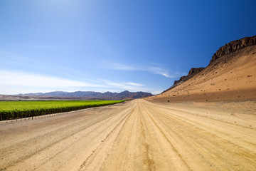 Wide angle view of gravel road next to a huge irrigated grape field and desert mountains on the right side near the town of Aussenkehr in southern Namibia near the South African border. Fenced fields.