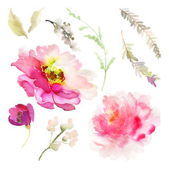 A set of watercolor elements for greeting cards.