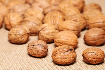 Spilled walnuts on the background of sack cloth