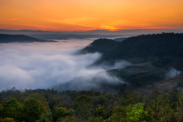 beautiful view of sea fog in morning and mountain valley landscape at phu pha nhong, loei, Thailand