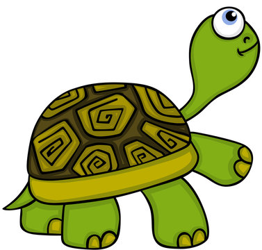 Animal Cute Turtle

