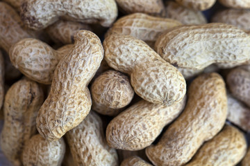 Close up of a bunch of roasted peanuts in their shells