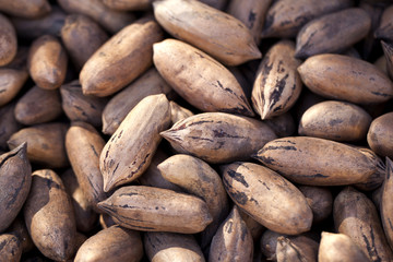 Obraz premium Pecans background