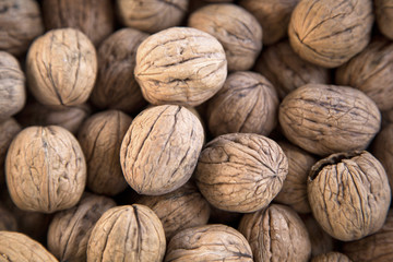 Walnuts background