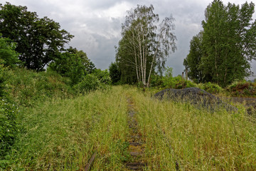 Fototapeta na wymiar rail tracks overgrown in green grass