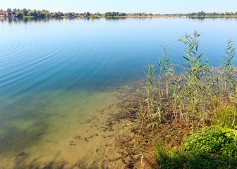 Summer lake calm rushy shore.