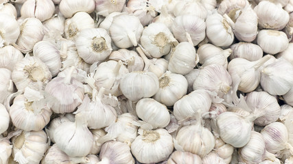 A bunch of fresh white garlic.