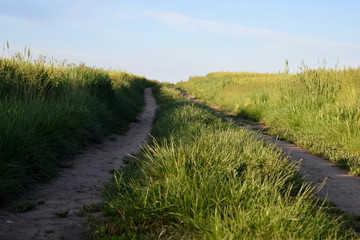 a walk on a countryside road