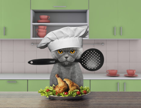 Cook cat holding a spoon