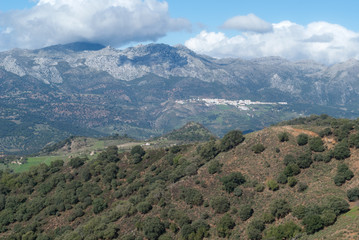 Fototapeta na wymiar The natural park Sierra de las Nieves, Andalusia, Spain