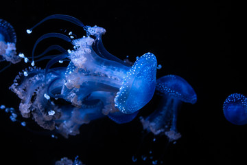 Beautiful world in Water
