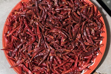 Chilli sunlight thai hot spice ingredient