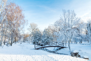 First snow in the city park with trees under fresh snow at sunrise. Bridge on a sunny day in the winter city park.